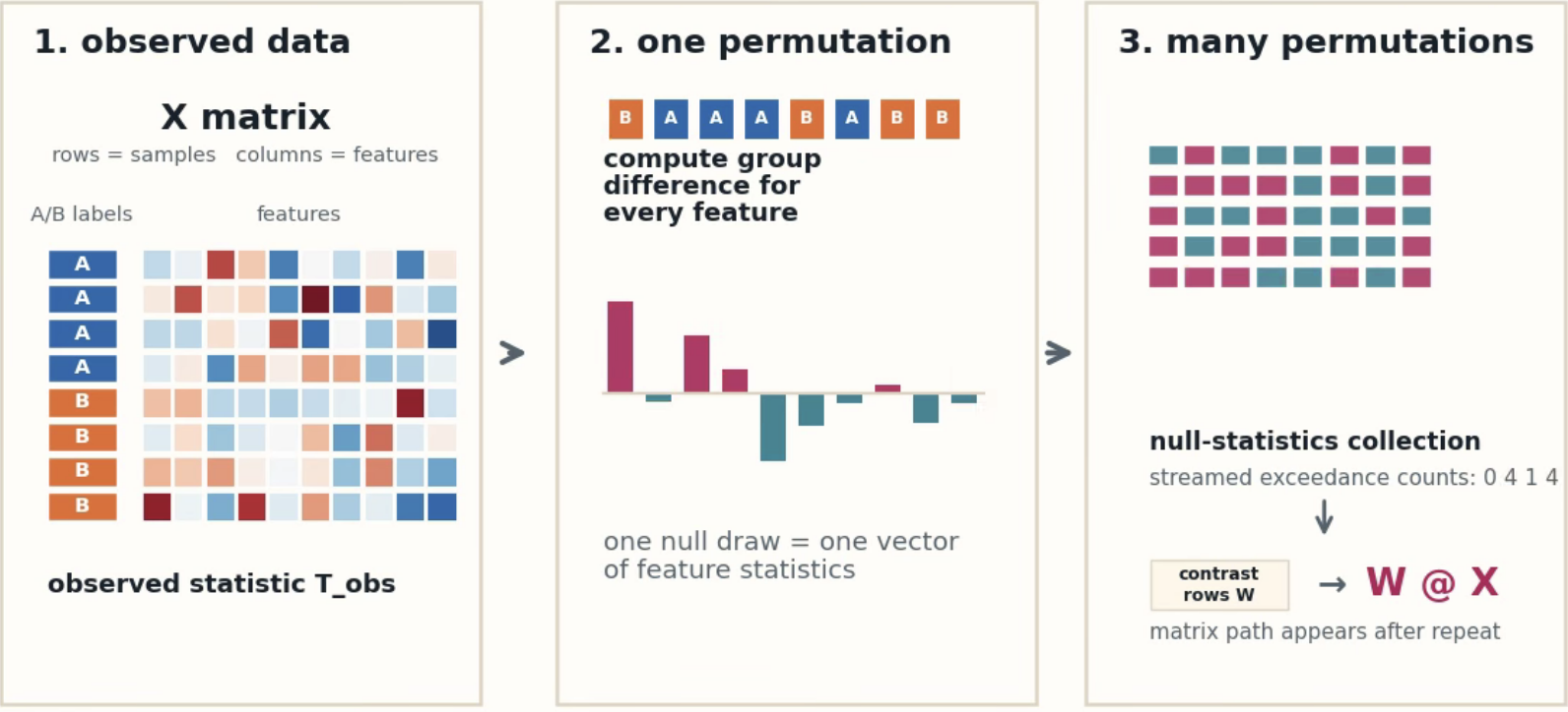 permutation-test workflow schematic
